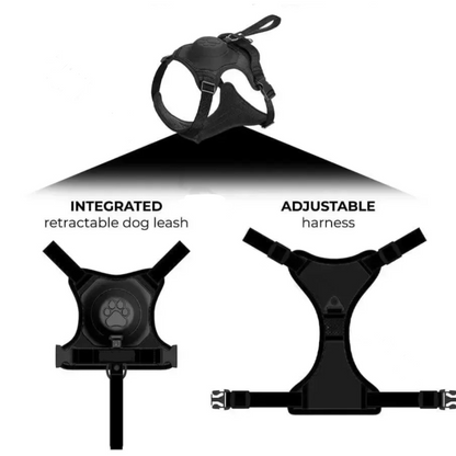 2in1 Harness & Lead