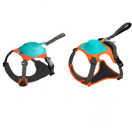 Dog Harness & Lead 2in1