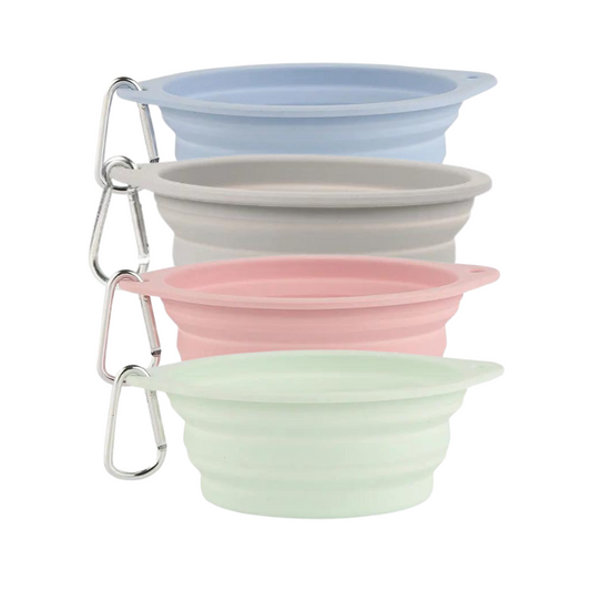 Collapsible Single Travel Pet Bowl