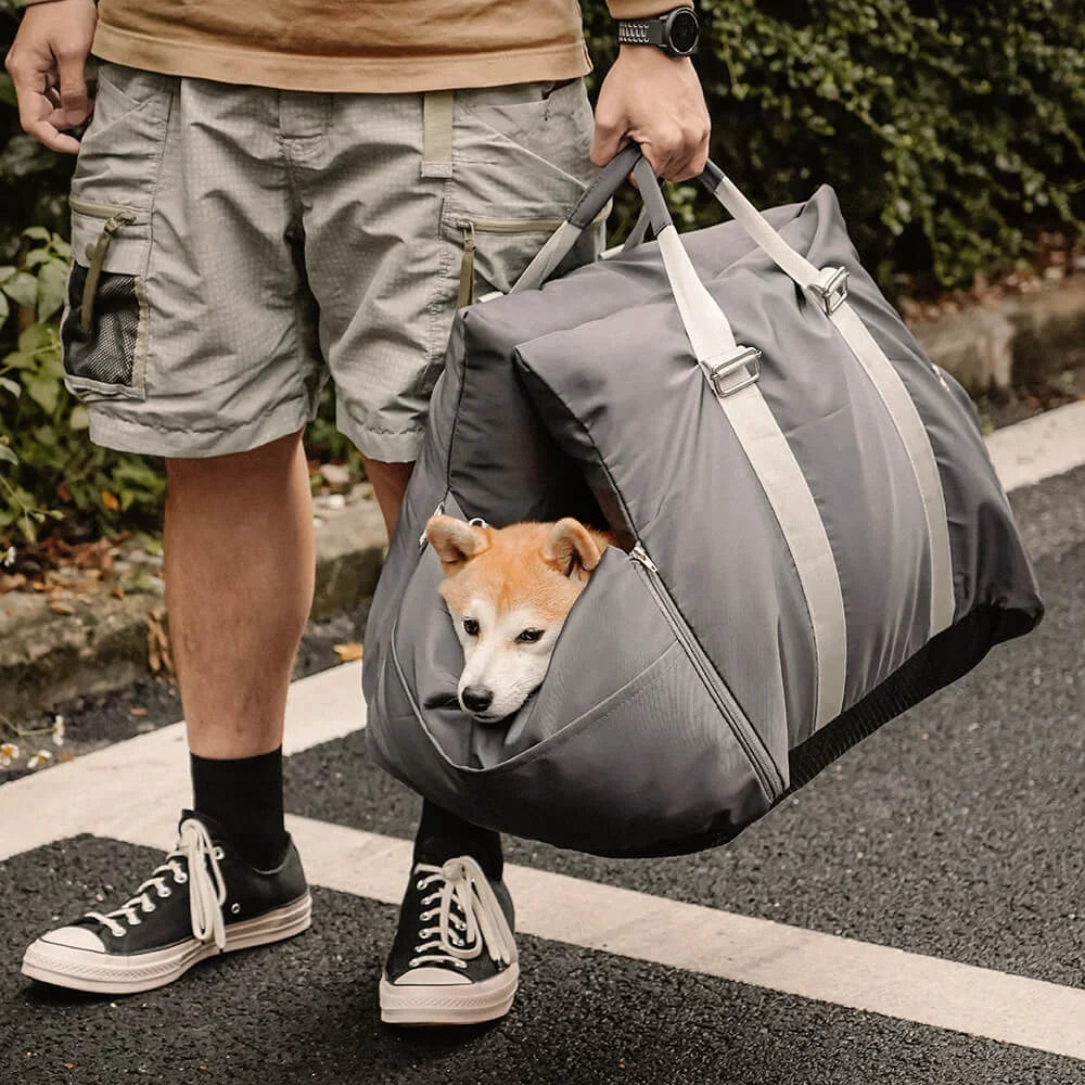 Dog In Travel bed