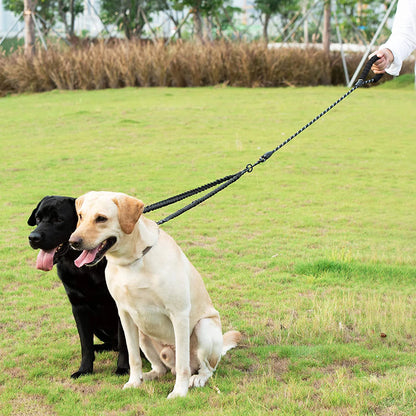 Double Dog Lead No Tangle On Dogs