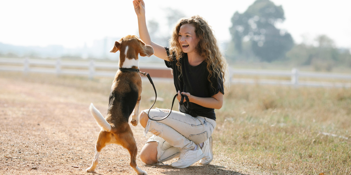 Person playing with dog