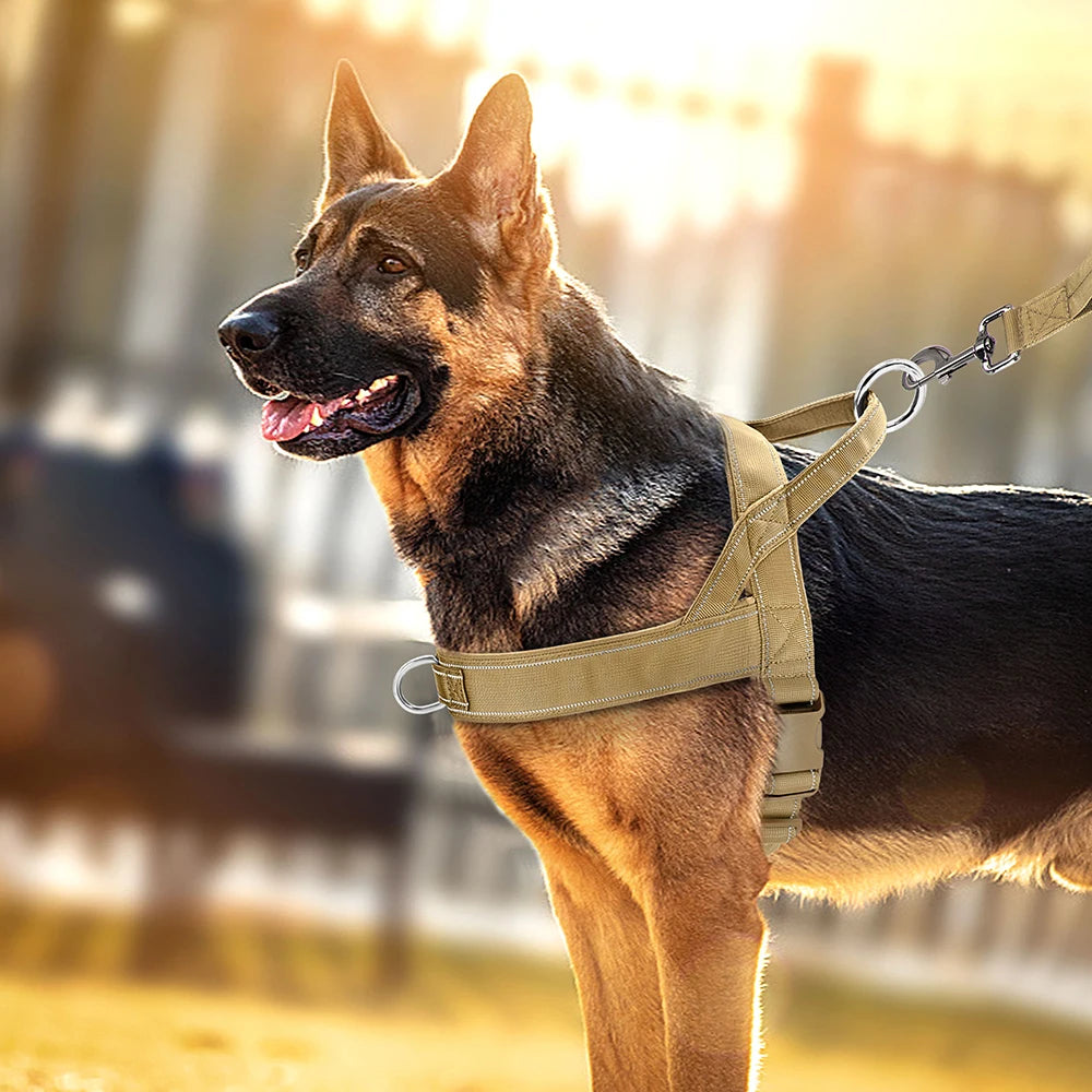 No Pull Reflective Dog Harness For Training On Dog