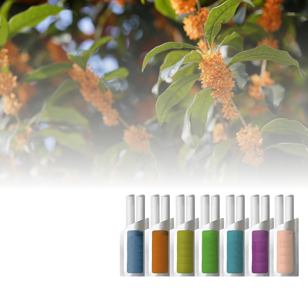 Car Air Freshener Refills Osmanthus