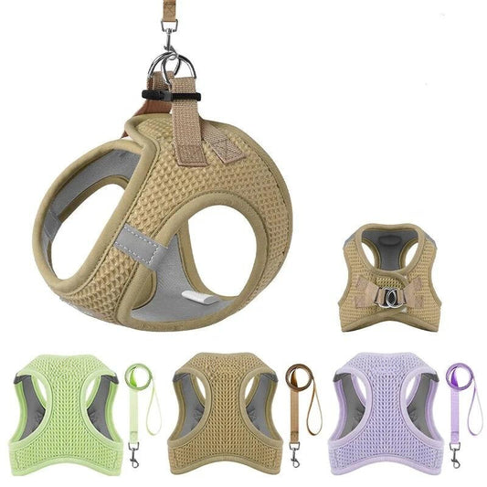 Puppy Small Dog Harness & Lead Set