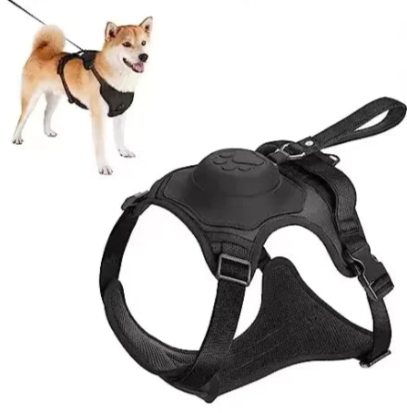 2in1 Harness & Lead