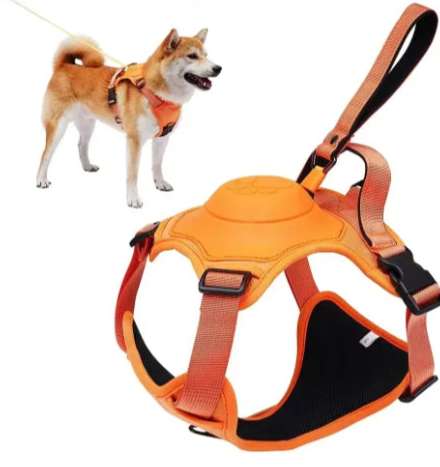 2in1 Harness & Lead